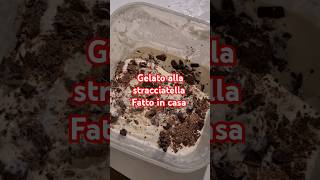 GELATO ALLA STRACCIATELLA FATTO IN CASA shorts gelato estate food [upl. by Enylecoj]