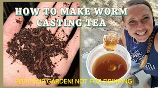 How to make WORM TEA from WORM CASTINGS [upl. by Adyol67]