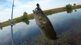 Early Fall Pond bass fishing [upl. by Orofselet349]