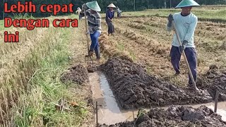 Cara membuat bedengan untuk di tanami Cabaimilonbawang merah dan tanaman hortikultura lainnya [upl. by Marthena]