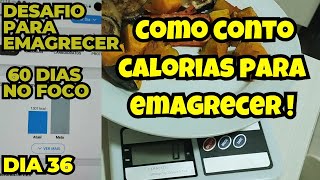 COMO CONTO CALORIAS l MOSTRO MINHA DIETA PARA PERDER PESO l PESAGEM DE ALIMENTOS [upl. by Griffie]