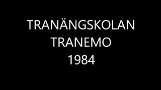 Tranängskolan Tranemo 1984 [upl. by Haldeman110]