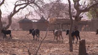 Climate change in Sahel [upl. by Ydurt]