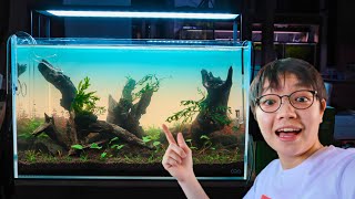 Setting Up NATURE STYLE AQUARIUM  ADA 60p Aquascape [upl. by Adnale]