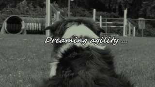 Dreaming Agility [upl. by Nannarb]