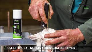 Use of the Cat No 145 arkos goat dehorner by Express Farming [upl. by Erlina]