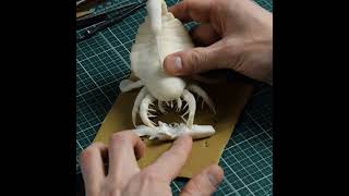 Making a Sea Scorpion Diorama shorts seascorpion diorama dinosaurdiorama [upl. by King]