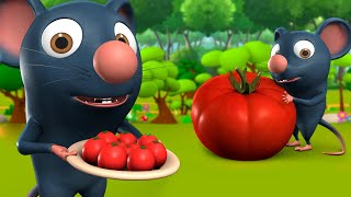 Chuha Aur Tamatar 3D Animated Hindi Moral Stories for Kids चूहा और टमाटर Rat Panchatantra Tales [upl. by Arok]