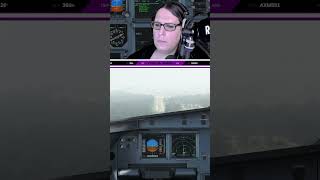 low vis landing  linakatharina auf Twitch [upl. by Orteip820]