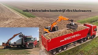 suikerbieten laden loonbedrijf ellen nieuwe develon DX170W7 deel 2 oost Groningen farmers 4k [upl. by Nakasuji]