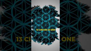 The fruit of life and Metatron’s Cube floweroflife shorts [upl. by Anyalram56]