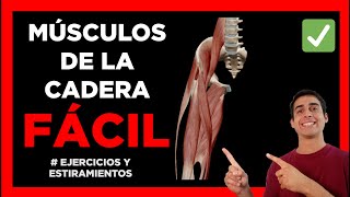 ✅ MÚSCULOS FLEXORES Y EXTENSORES de la CADERA aprender FÁCIL [upl. by Manda]