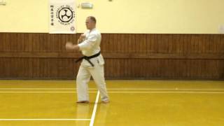 Goju Ryu Karate  Seiyunchin Kata [upl. by Ardnad]