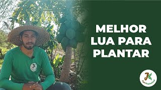 QUAL A MELHOR LUA PLANTAR [upl. by Myk]