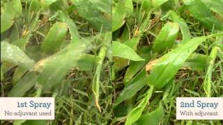 The Benefit of Adjuvants in a Foliar Spray Program [upl. by Chao780]