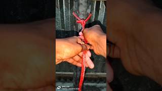 quotLearn the skill of tying ropesquotknot [upl. by Novert726]