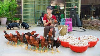 Harvest Chicken Rooster And Chicken Eggs Goes To Market Sell  Farm Girl [upl. by Fey]