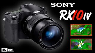 Is the Sony RX10 IV any good for video in 2024 [upl. by Yerot]