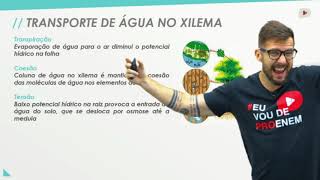 Água sais minerais e vitaminas I Biologia I Prof Bruno Pires [upl. by Eira972]