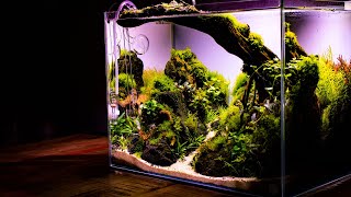 HOW TO Make an Aquascape Nano Aquascape Tutorial  Step by Step GUIDE Building a CONTEST Aquascape [upl. by Aeikan]