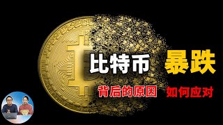 比特币暴跌3万多美金，背后原因是什么？该如何应对？答案都在这里了！ 零度解说 [upl. by Uriel894]