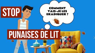 Comment se débarrasser des punaises de lit soimême  Les astuces dexperts de lutte antinuisibles [upl. by Alyat]