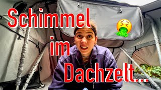 Unser Dachzelt schimmelt 😵‍💫🌧️🏕️ [upl. by Delphinia]