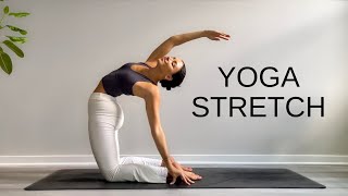 15 Minute Yoga Stretch Break  Open Your Body amp Feel Amazing [upl. by Eittel]