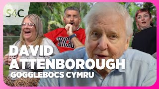 Asia gyda Sir David Attenborough  Gogglebocs Cymru  S4C [upl. by Dream]