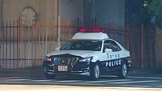 Osaka Prefectural Police Police Car Patrolling in Downtown Osaka [upl. by Ethelind476]