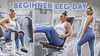 BEGINNER LEG DAY  Using Basic Gym Equipment [upl. by Itnavart943]