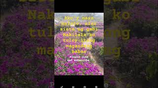 Andrew E  Banyo Queen lyrics shorts viralvideo [upl. by Animlehliw]