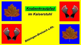 🐿🍁🌷Unterwegs im Kaiserstuhl auf dem Knabenkrautpfad von Bötzingen nach Breisach am Rhein [upl. by Karena]