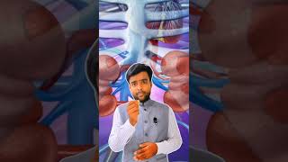 Dialysis Procedure Video shorts dialysis viral shortsfeed [upl. by Anide94]