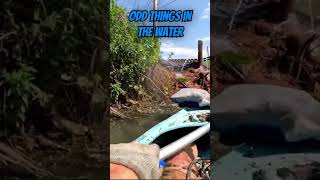 🛟 Unbelievable Finds Paint Rollers Lifejackets amp Baby Strollers in Cayuga Inlet Ithaca NY 🚼 [upl. by Htevi]