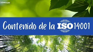 Contenido de la Norma ISO 140012015 [upl. by Lemaceon]