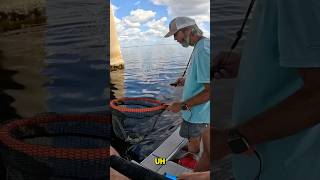 Catching a SHRIMP with a CRAB on 5000 Reel microskiff fishing microskifffishing [upl. by Nelleoj]