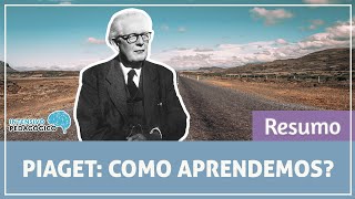 Resumo da Teoria de Piaget [upl. by Rabaj887]