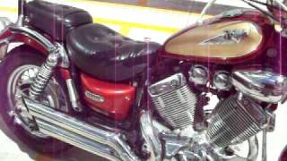 Yamaha Virago 535 2001  Walkaround [upl. by Aneleve573]