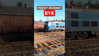 Piękny jesienny BYK ET221093 w siną dal cargotrain trainshortvideo pociągi  listopad 2024 [upl. by Atnahs]