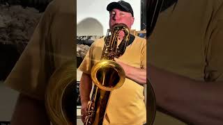 Robert Anchipolovsky Solo on Days of Wine and Roses by Henry Mancini baritonesax jazz jazzmusic [upl. by Oswal988]