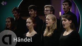 European Union Baroque Orchestra  Händel Conc Gr Op 3 nr 2 Ode for the Birthday of Queen Anne [upl. by Raouf]