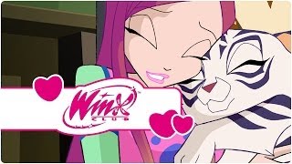 Winx Club  Saison 4 Épisode 14  Le chiffre parfait clip1 [upl. by Goer667]