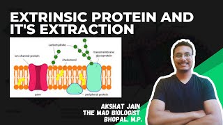 EXTRINSIC PROTEIN AND ITS EXTRACTION CSIR NET EXTRINSIC PROTEIN AND ITS EXTRACTION CSIR NET [upl. by Soisanahta]