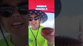 Taylor went Scalloping in Crystal River FL this last weekend scalloping crystalriver florida [upl. by Landry]