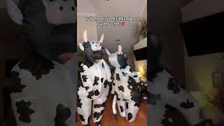 POV You see two inflatable cows dancing on your screen🤣 youtubeshorts tiktok sauceyaustin [upl. by Euqitsym]