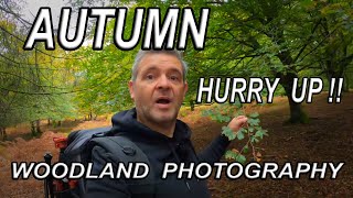 ON THE HUNT FOR AUTUMN WOODLAND PHOTOGRAPHY  THE NEW FOREST  LANDSCAPE PHOTOGRAPHY [upl. by Elades]