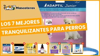 Los 7 mejores tranquilizantes para perros [upl. by Tannie151]