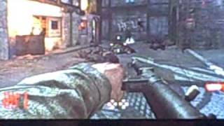 Nazi Zombies Guide to SurviveDer Riese [upl. by Ecinhoj]