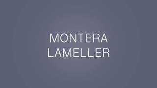 Montera lameller på lamellskena [upl. by Oiramad]